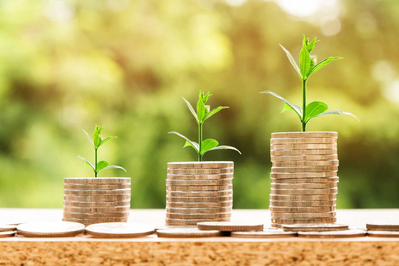 Wealth Growth Patterns